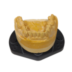 ScanBase Trimag